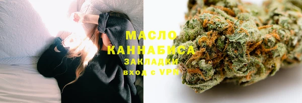 спиды Горняк