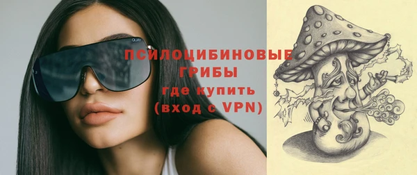 спиды Горняк