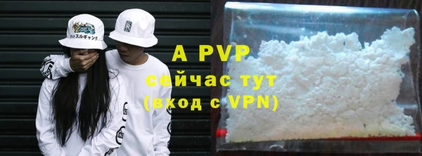 спиды Горняк