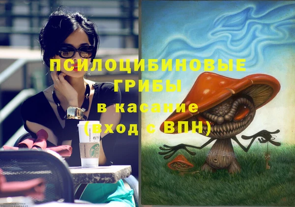 первитин Горнозаводск