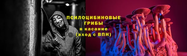 первитин Горнозаводск