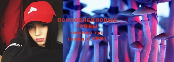 первитин Горнозаводск