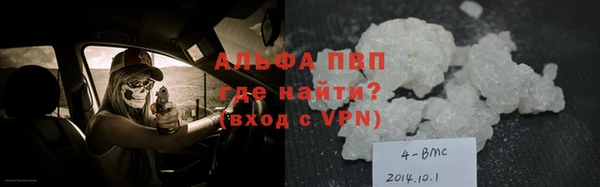 спиды Горняк