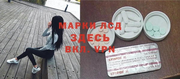 спиды Горняк