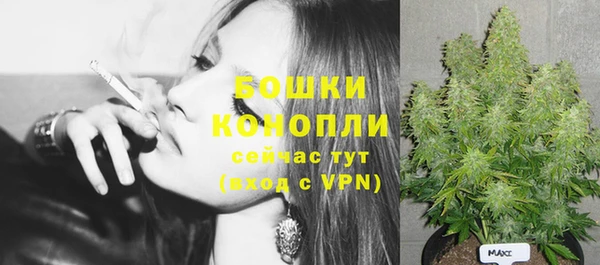 спиды Горняк