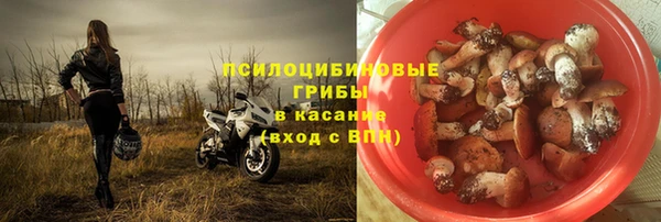 первитин Горнозаводск