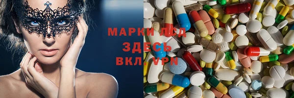спиды Горняк